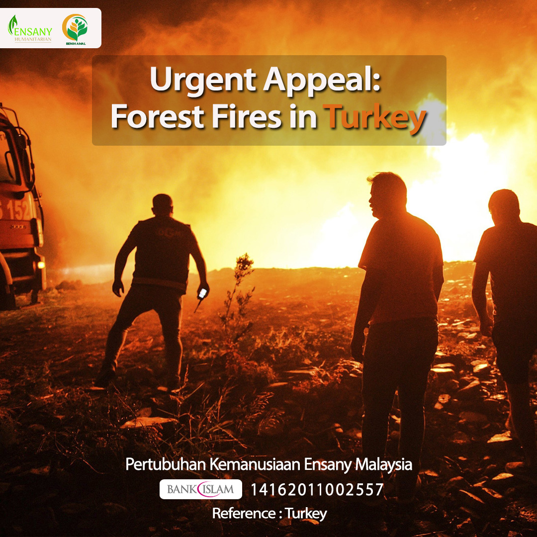 Urgent Appeal: Forest Fires in Turkey