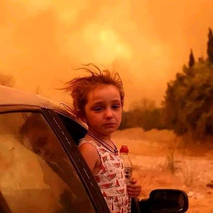 Urgent Appeal: Forest Fires in Algeria
