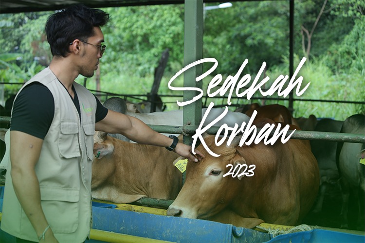 EnsanyCare - Sedekah Korban 2023