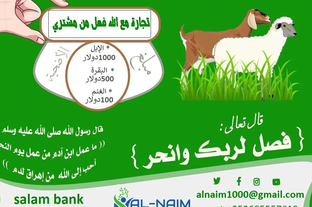 حملة الاضاحي عام ١٤٤٧هجري/٢٠٢٦م