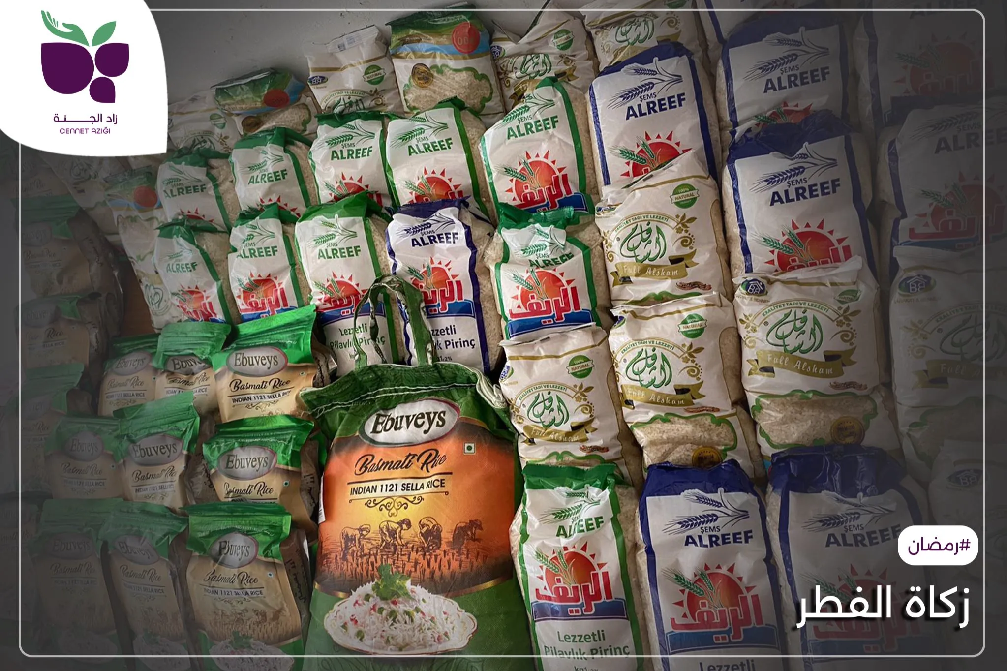 زكاة الفطر