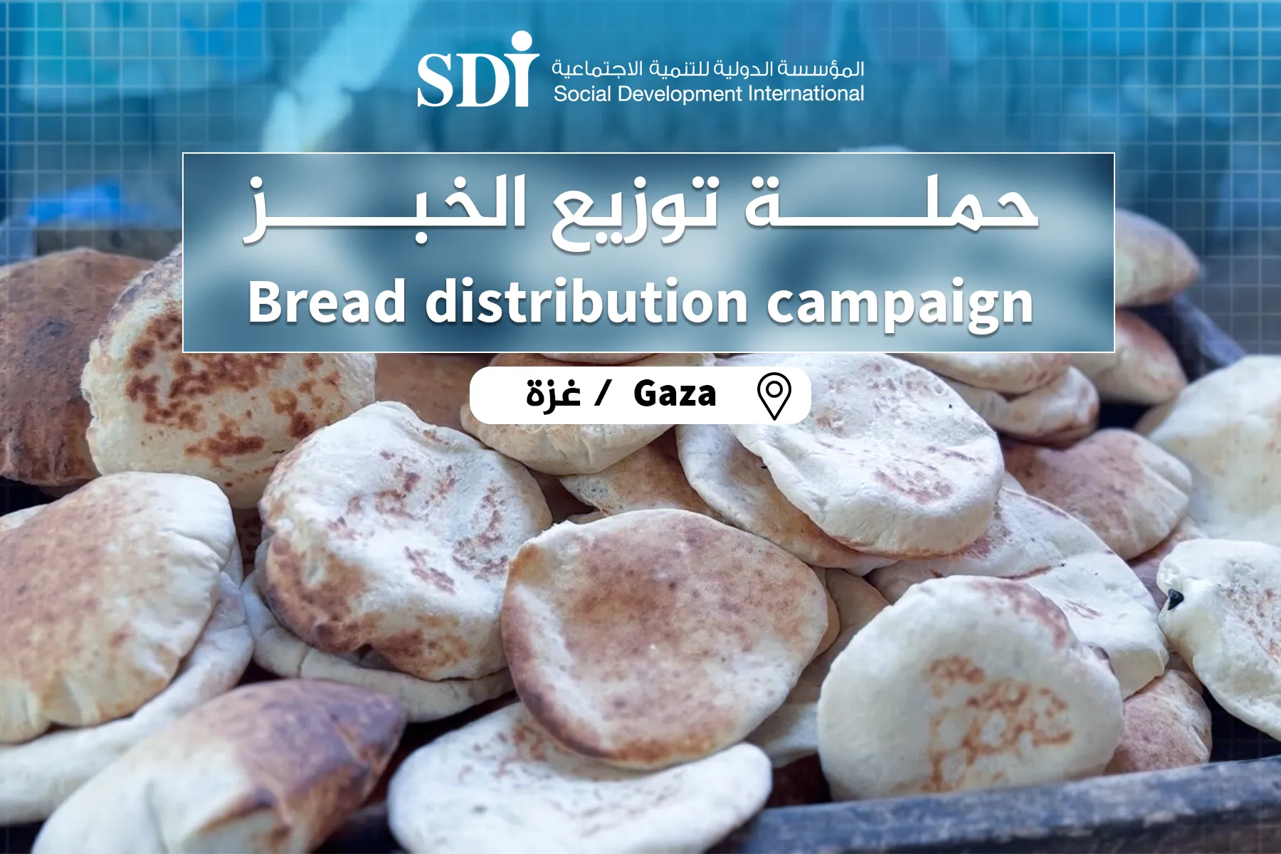 توزيع خبز  في  غزة