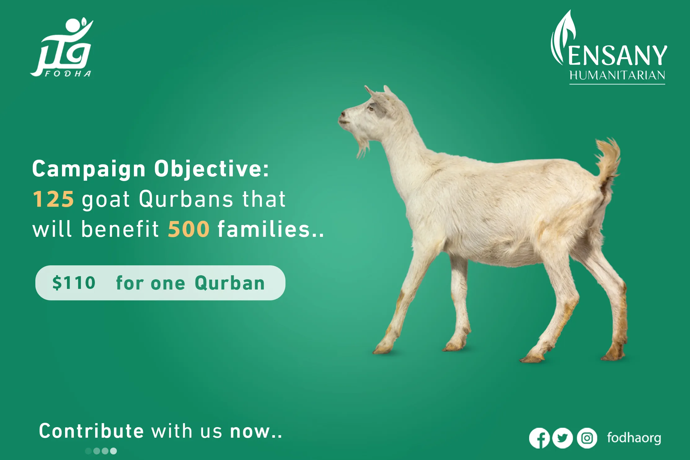 let's make them happy with a Qurbani