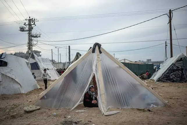 Earthquake emergency:250 dollar to provide fully furnished tent