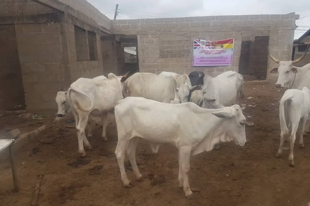 المشروع الاضاحي دعم الفقراء والايتام في ايام العيد الاضاحي المبالاك