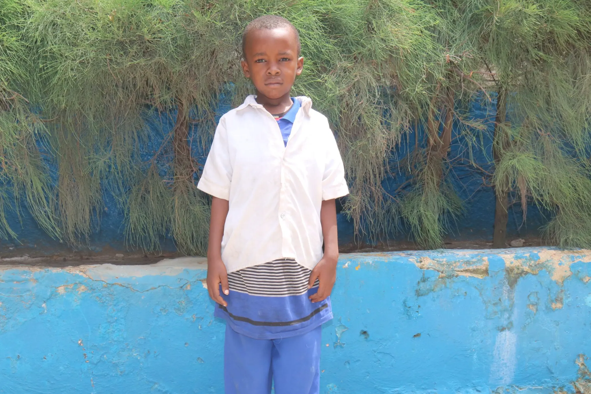 Urgent response to the earthquake In Syria