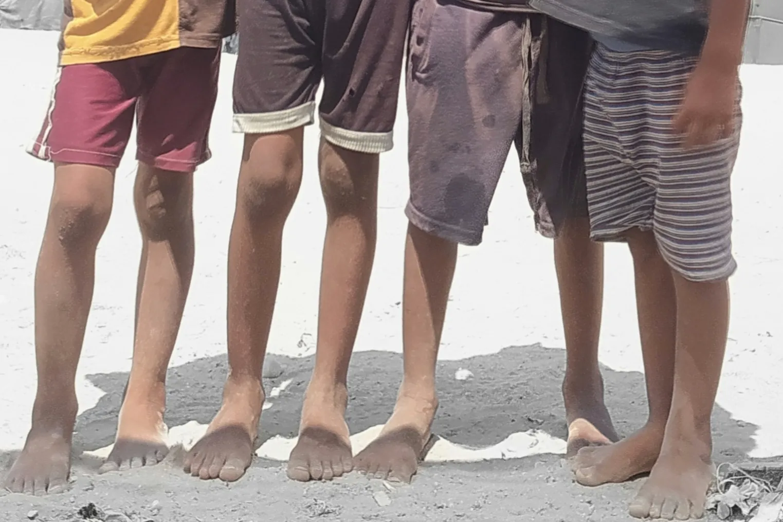 Urgent response to the earthquake In Syria