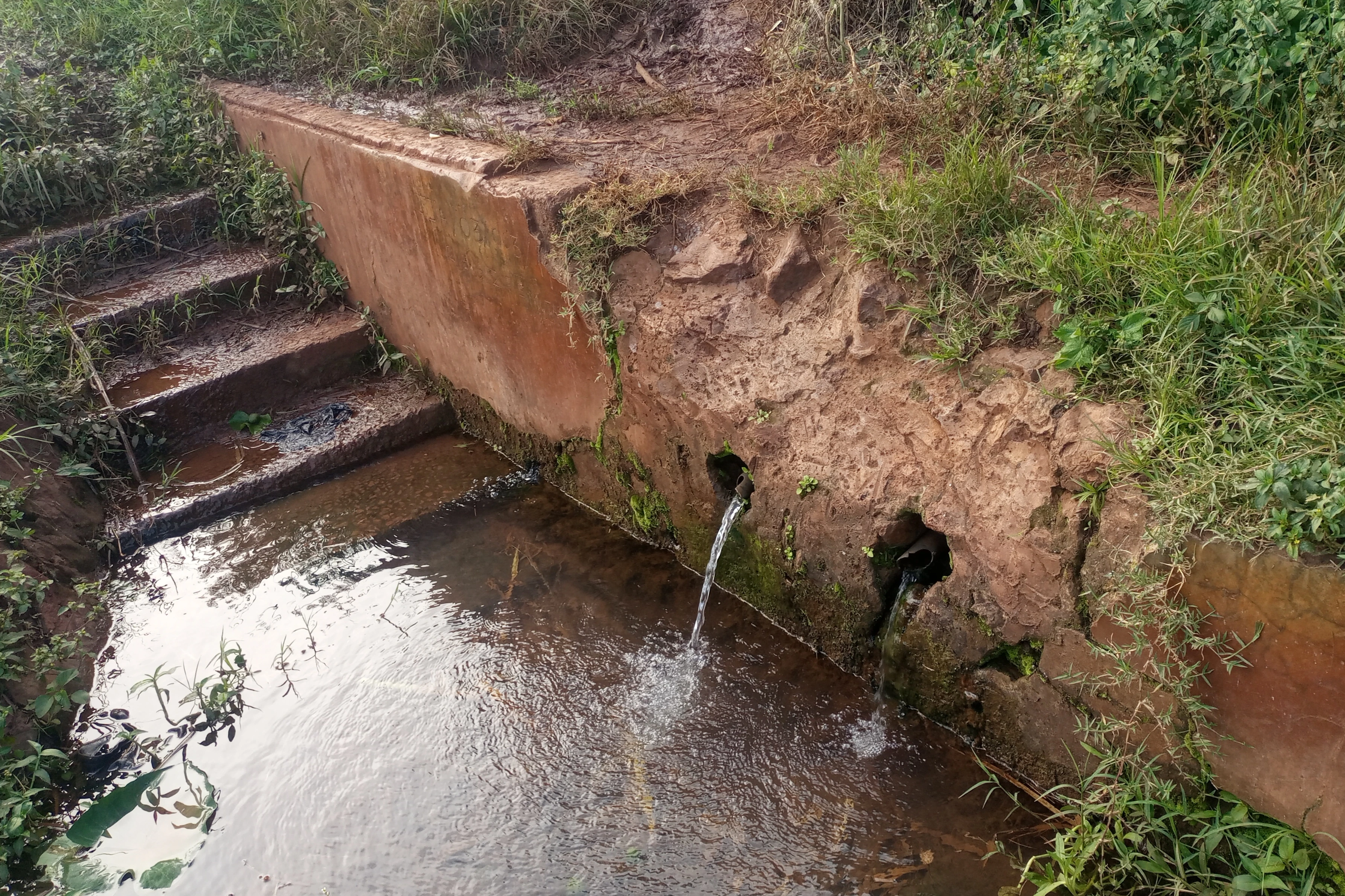 Urgent response to the earthquake In Syria