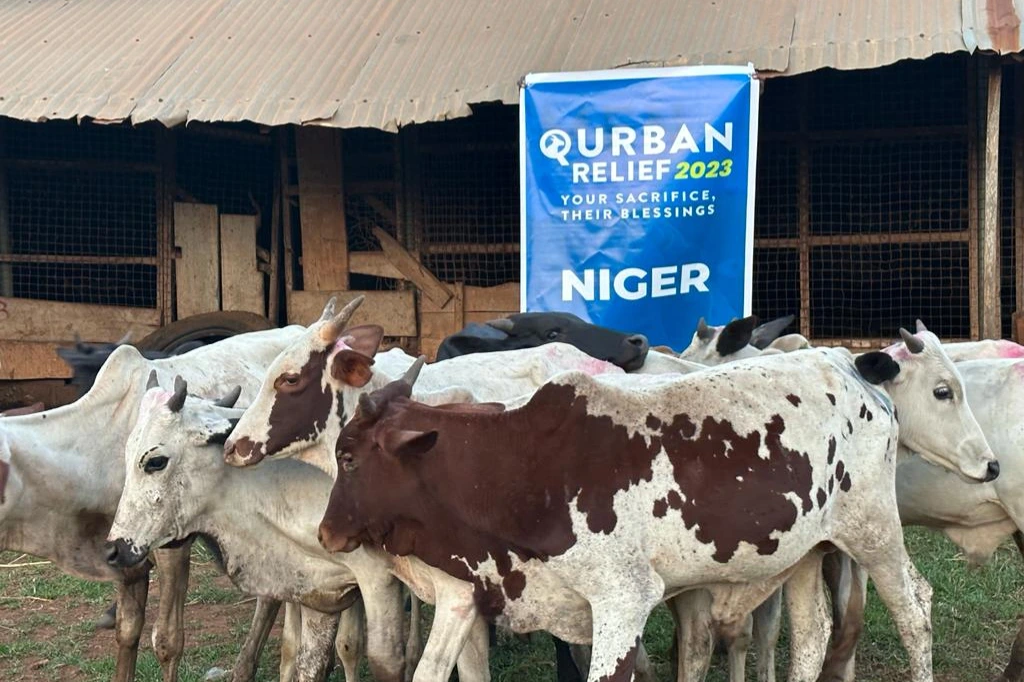 Urgent response to the earthquake In Syria