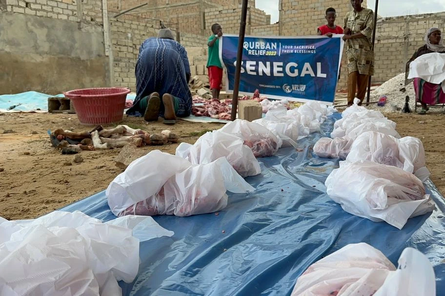 Urgent response to the earthquake In Syria