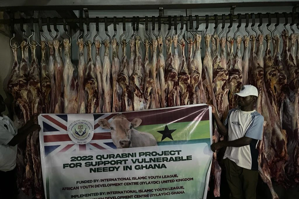 Urgent response to the earthquake In Syria