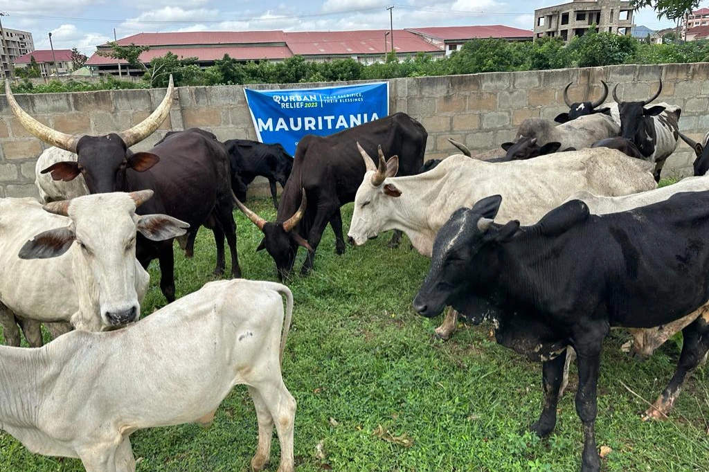 Urgent response to the earthquake In Syria