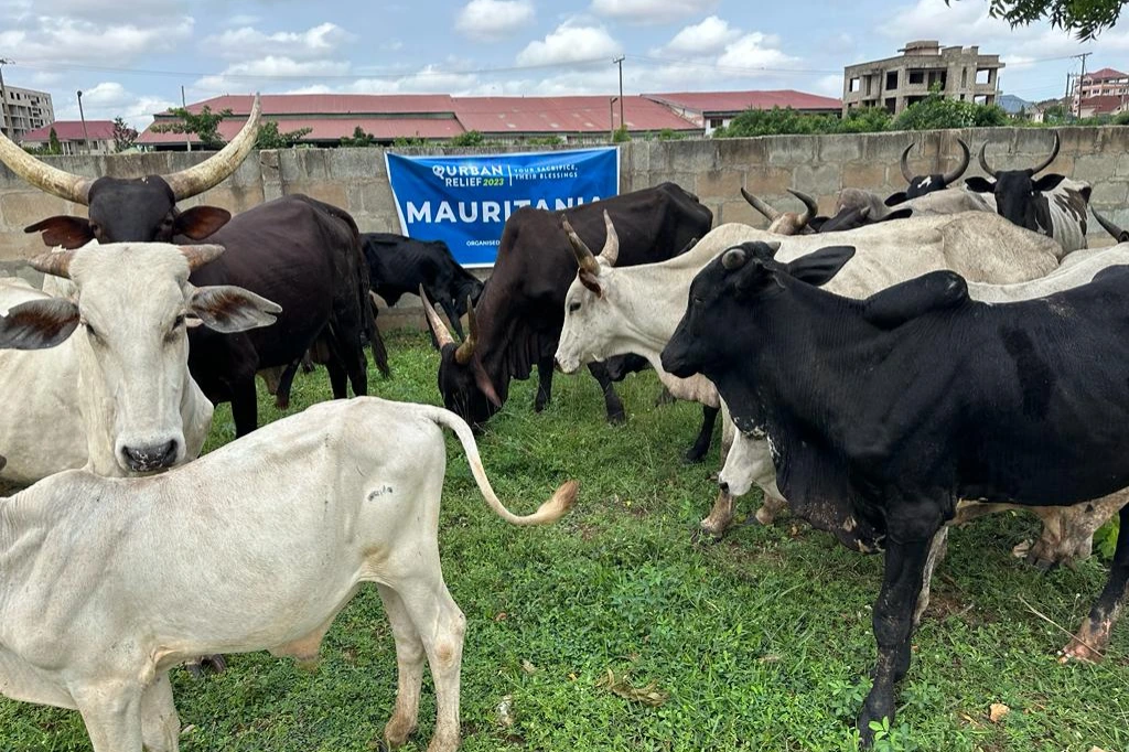 Urgent response to the earthquake In Syria