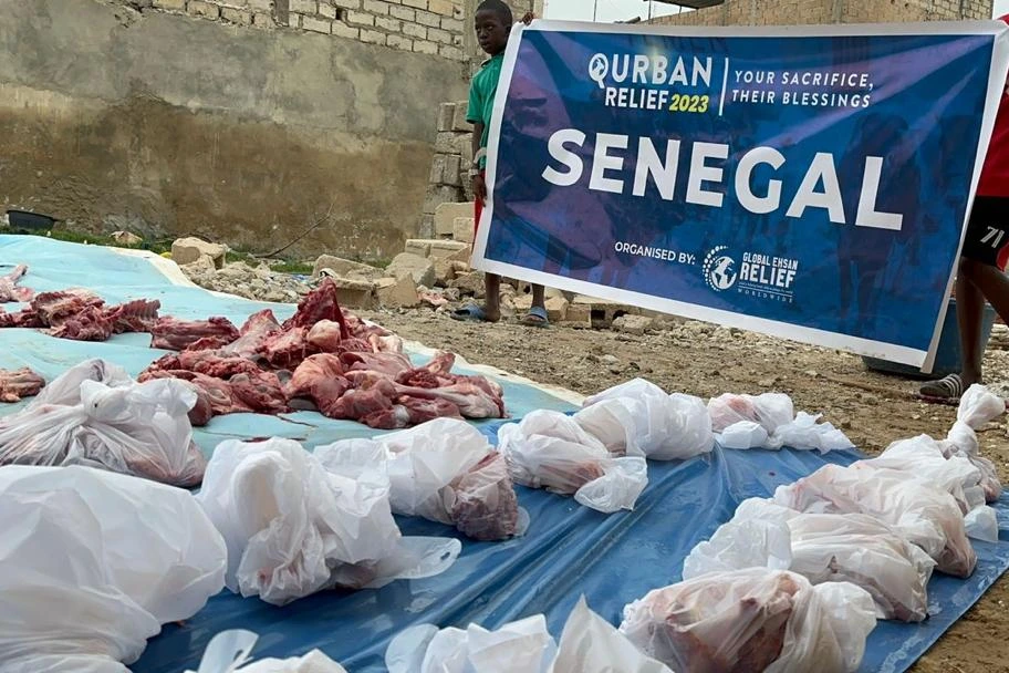 Urgent response to the earthquake In Syria