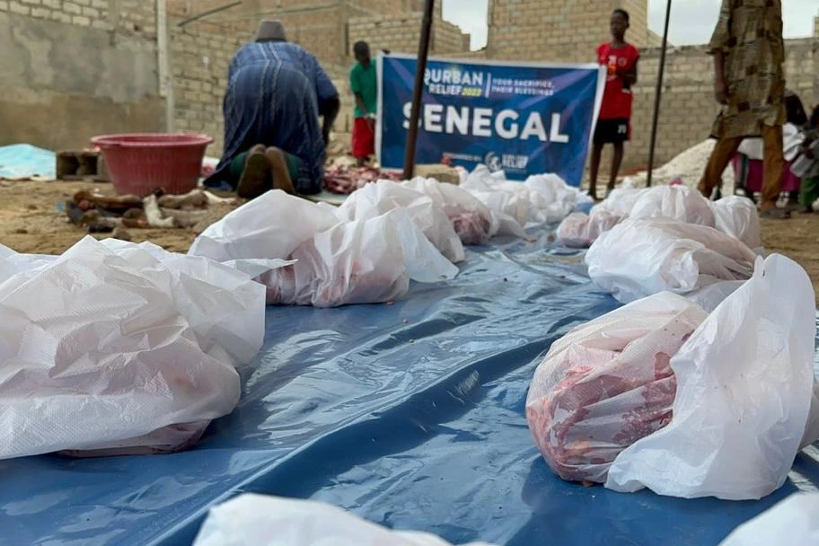 Urgent response to the earthquake In Syria