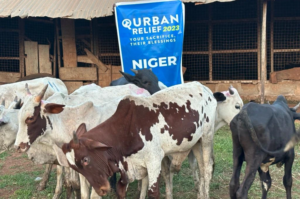 Urgent response to the earthquake In Syria