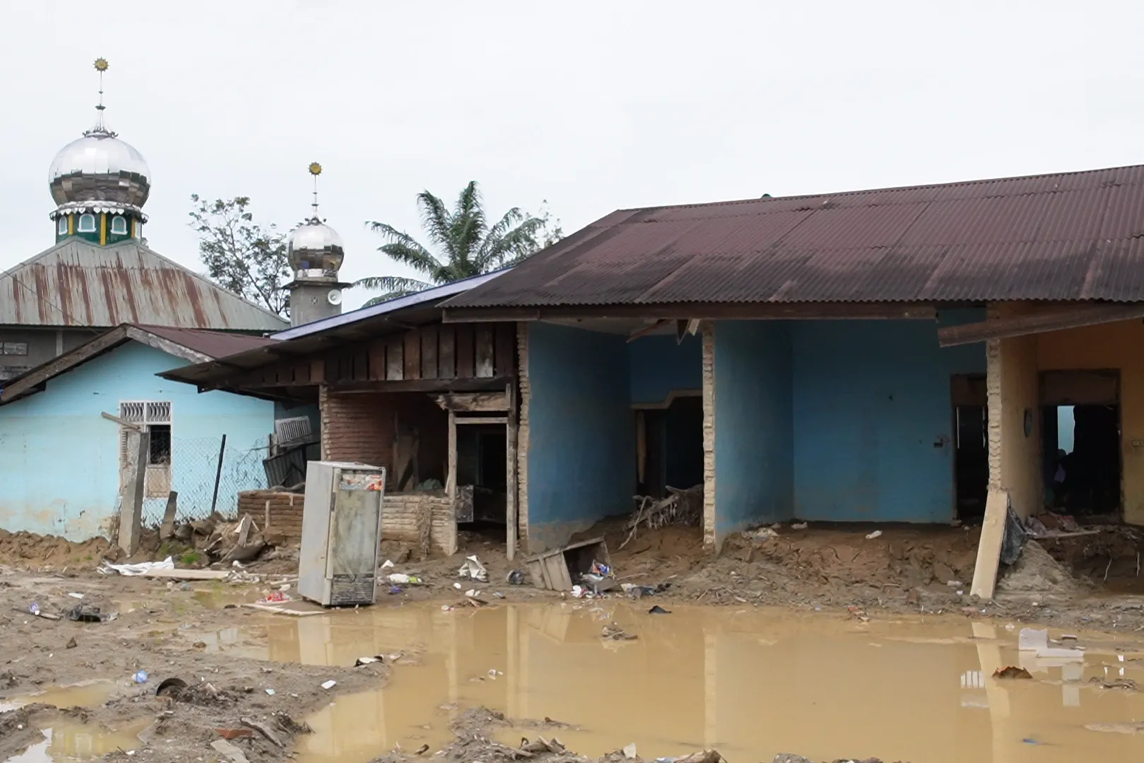 Urgent response to the earthquake In Syria