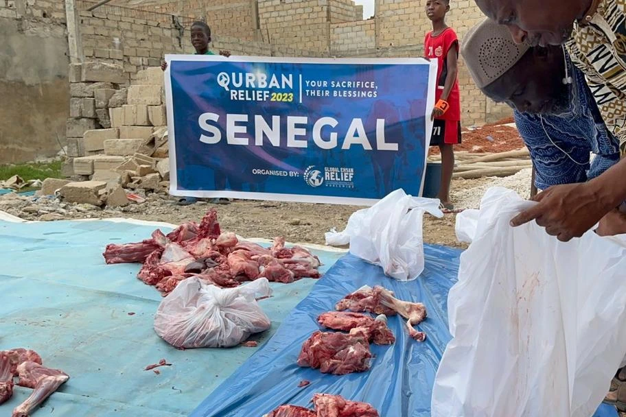 Urgent response to the earthquake In Syria