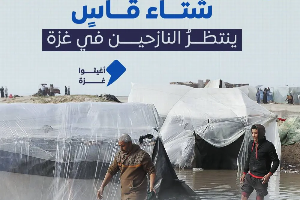 Urgent response to the earthquake In Syria