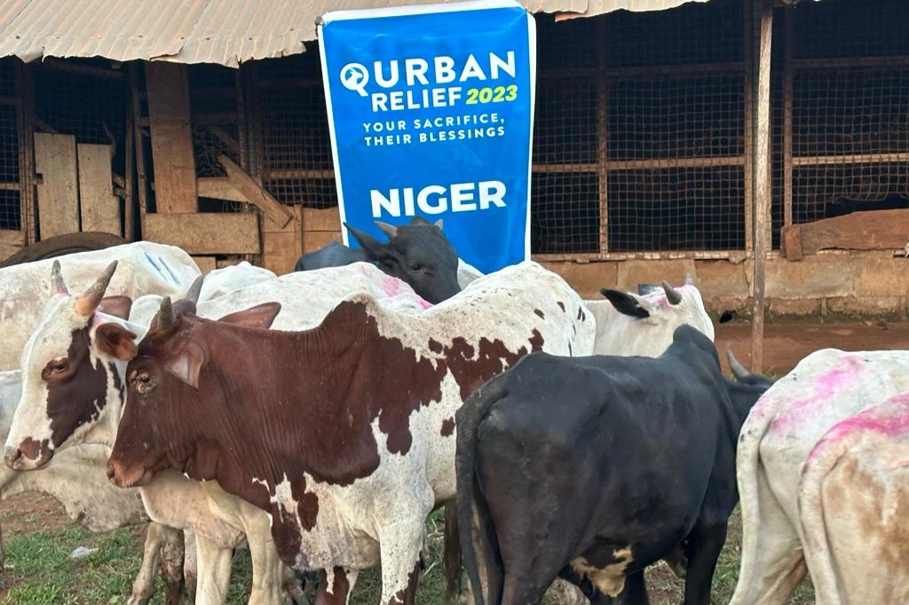 Urgent response to the earthquake In Syria