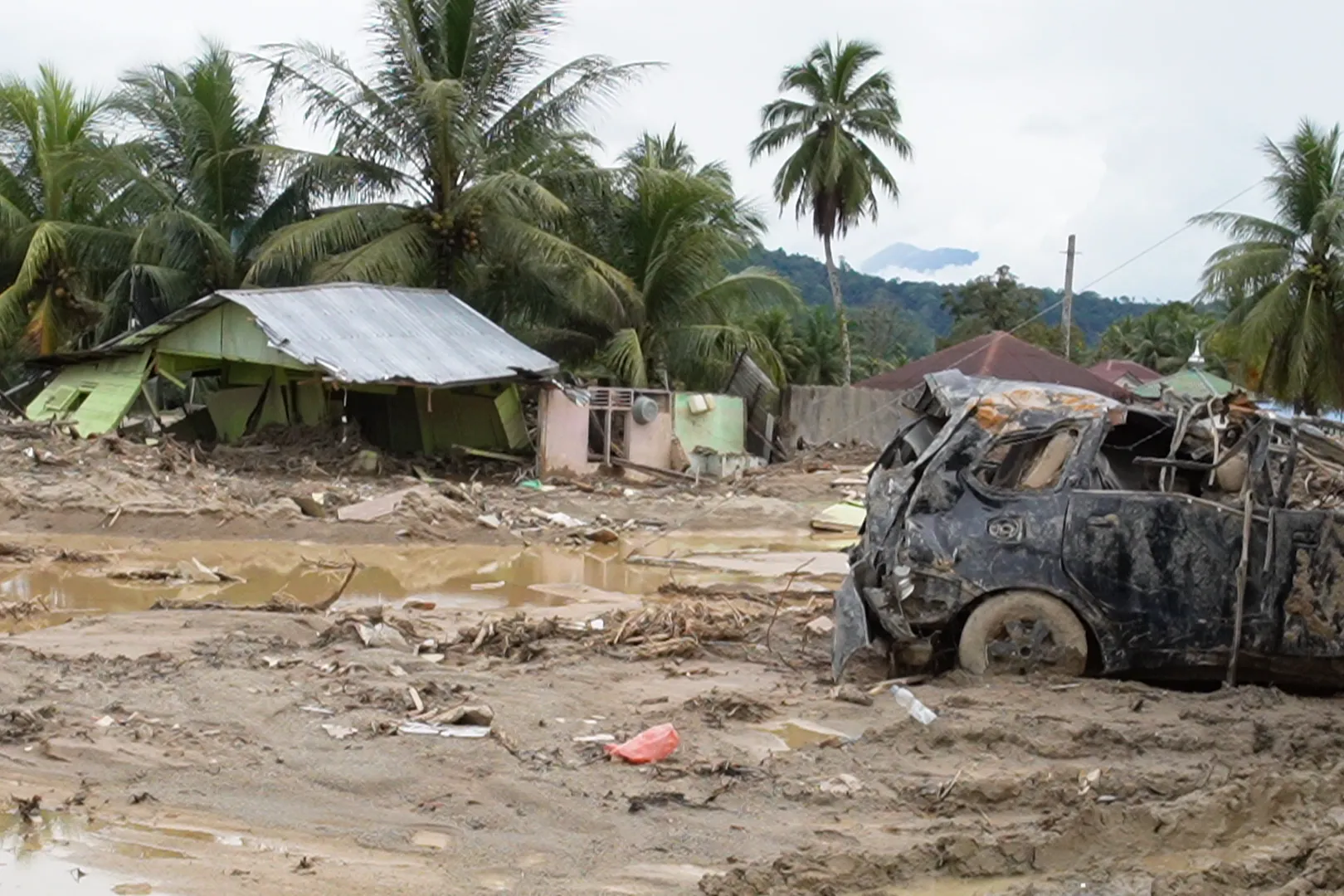 Urgent response to the earthquake In Syria