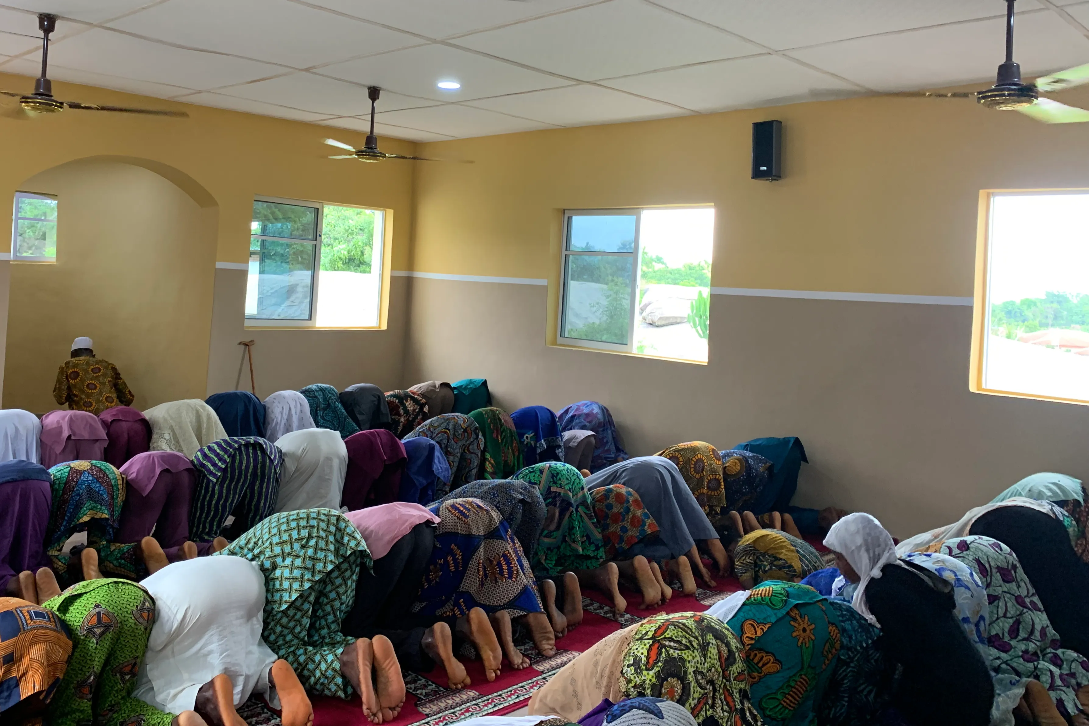 Urgent response to the earthquake In Syria