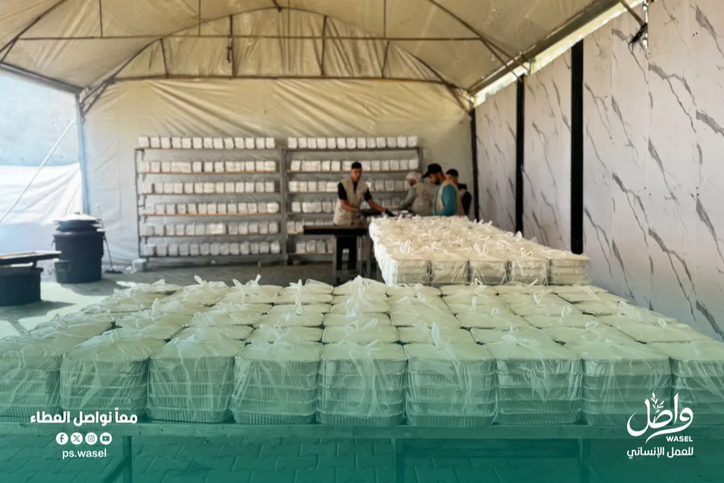 Urgent response to the earthquake In Syria