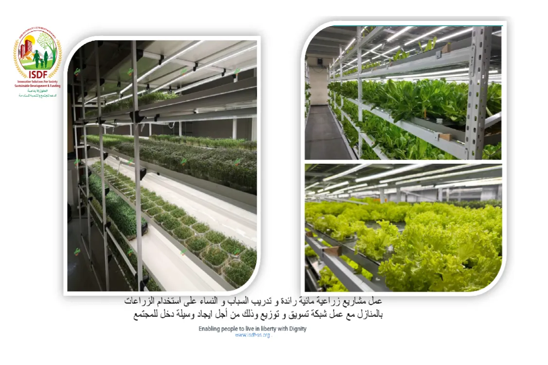 Urgent response to the earthquake In Syria