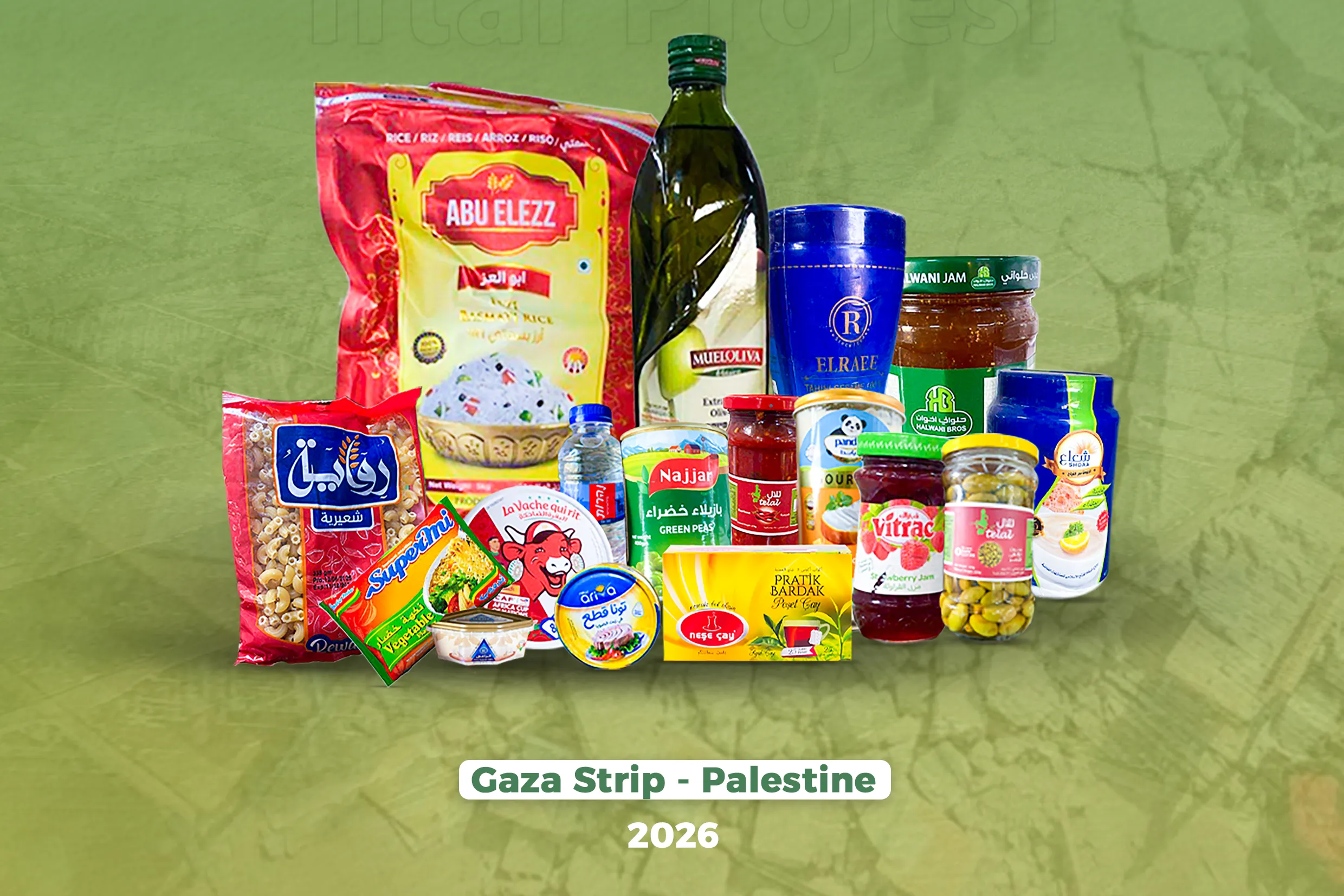 Urgent response to the earthquake In Syria