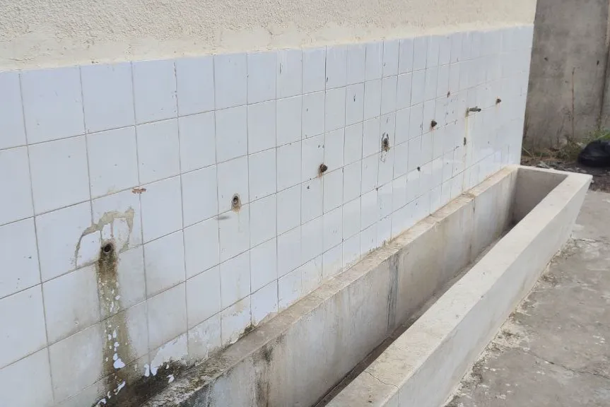 Urgent response to the earthquake In Syria