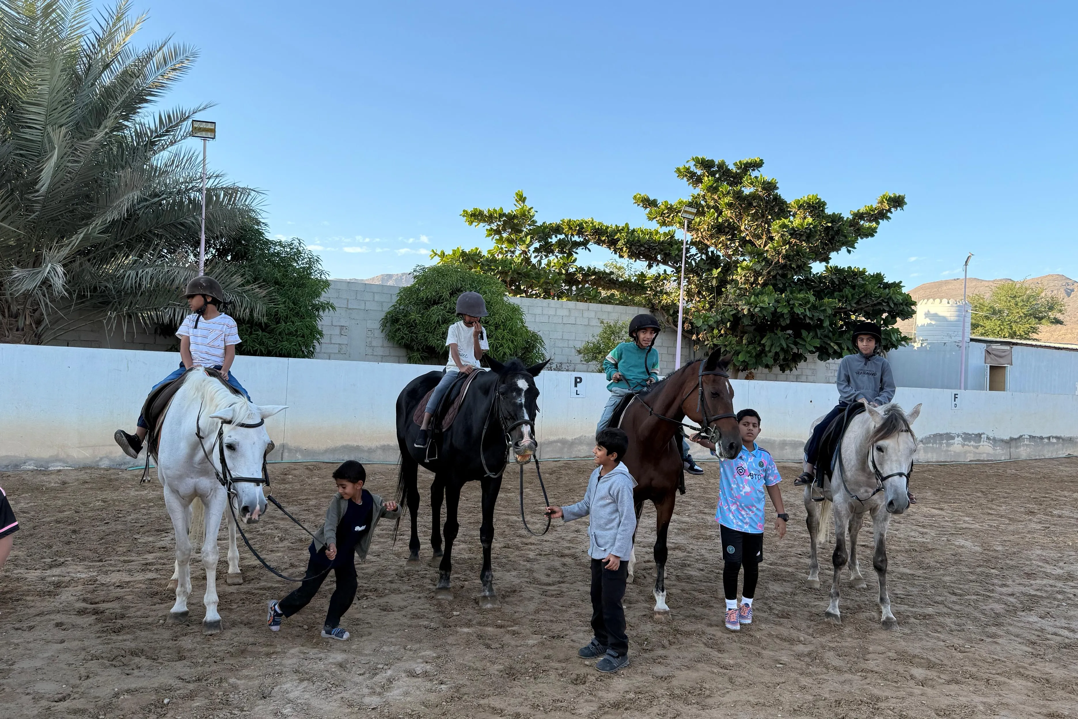 Urgent response to the earthquake In Syria