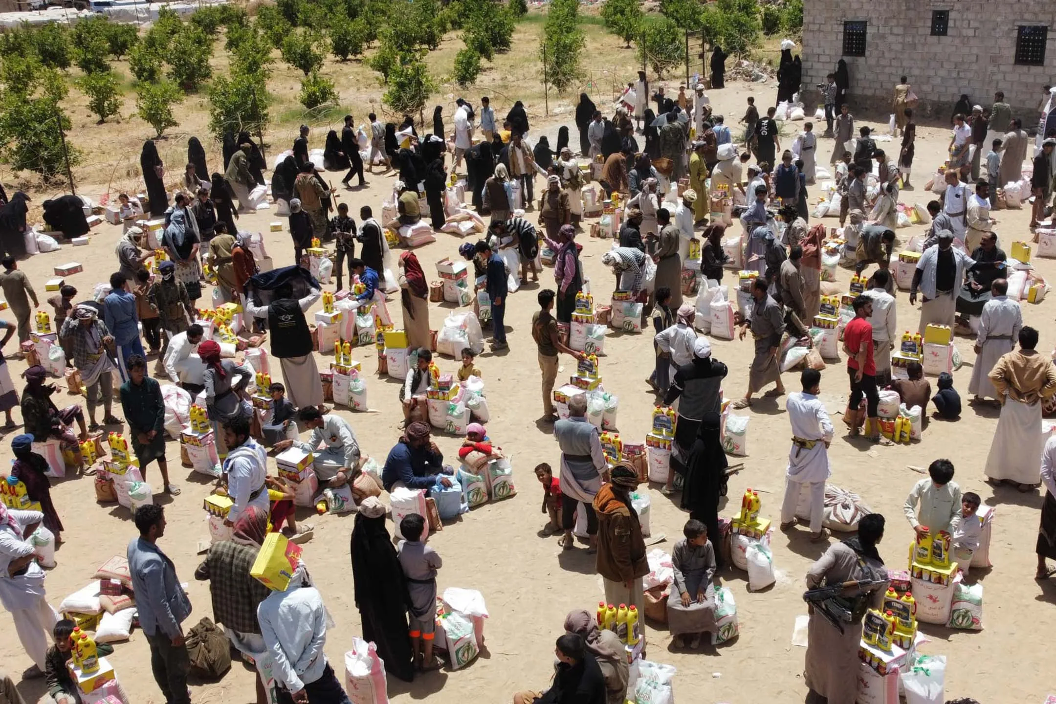 Urgent response to the earthquake In Syria