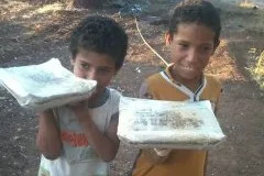 Urgent response to the earthquake In Syria