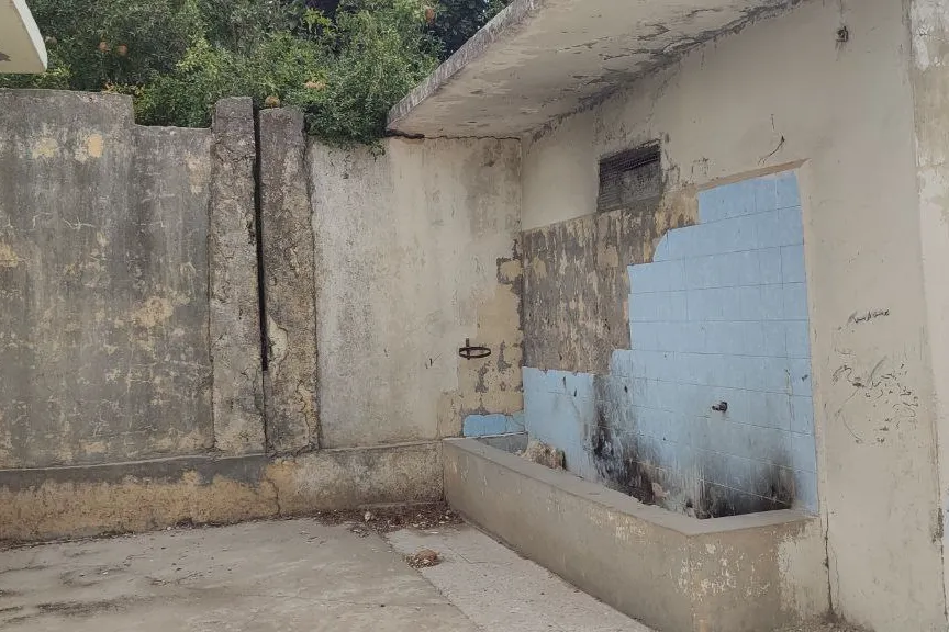 Urgent response to the earthquake In Syria