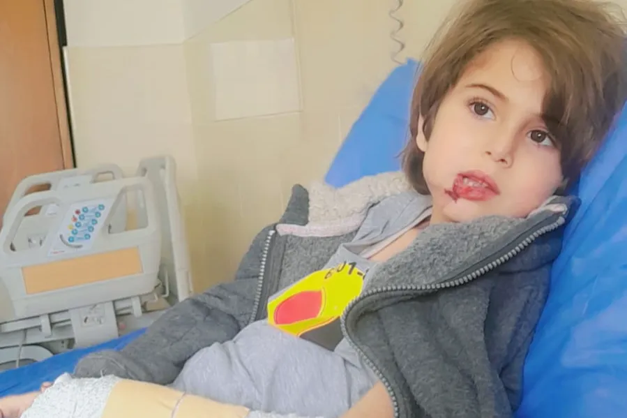 Urgent response to the earthquake In Syria