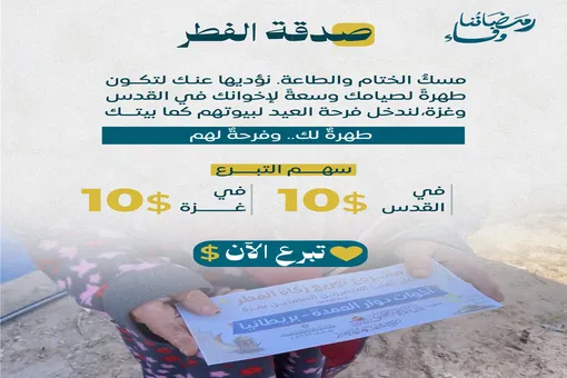 Urgent response to the earthquake In Syria