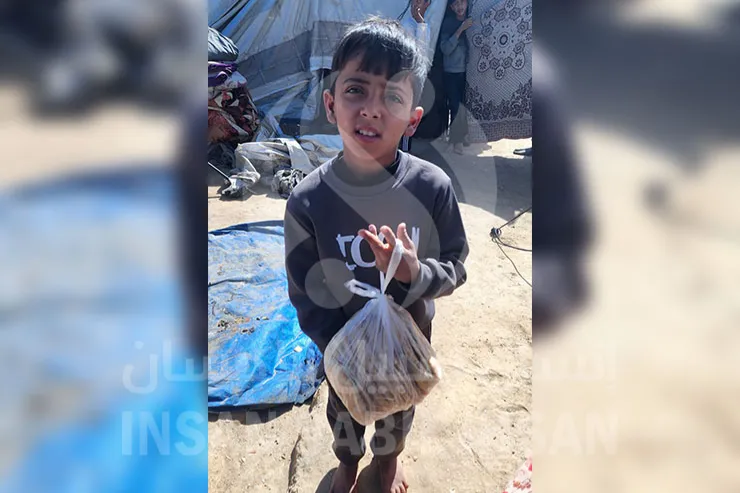 Urgent response to the earthquake In Syria