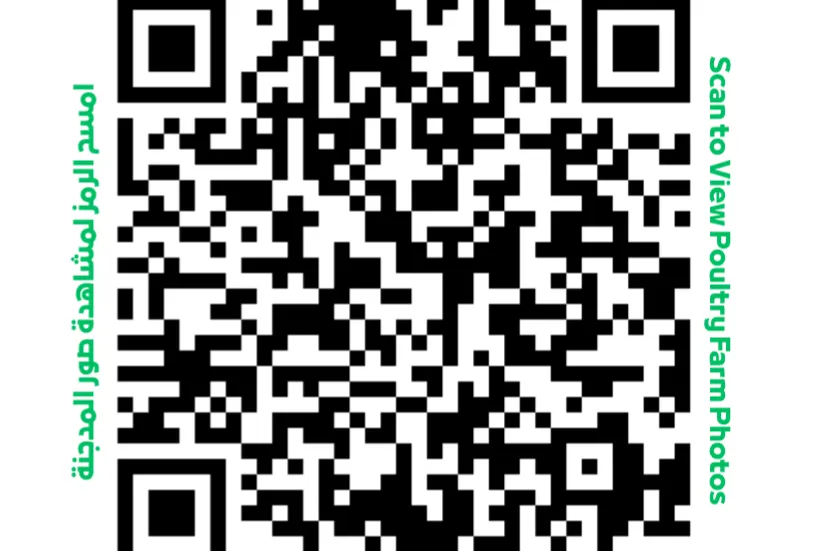 Urgent response to the earthquake In Syria