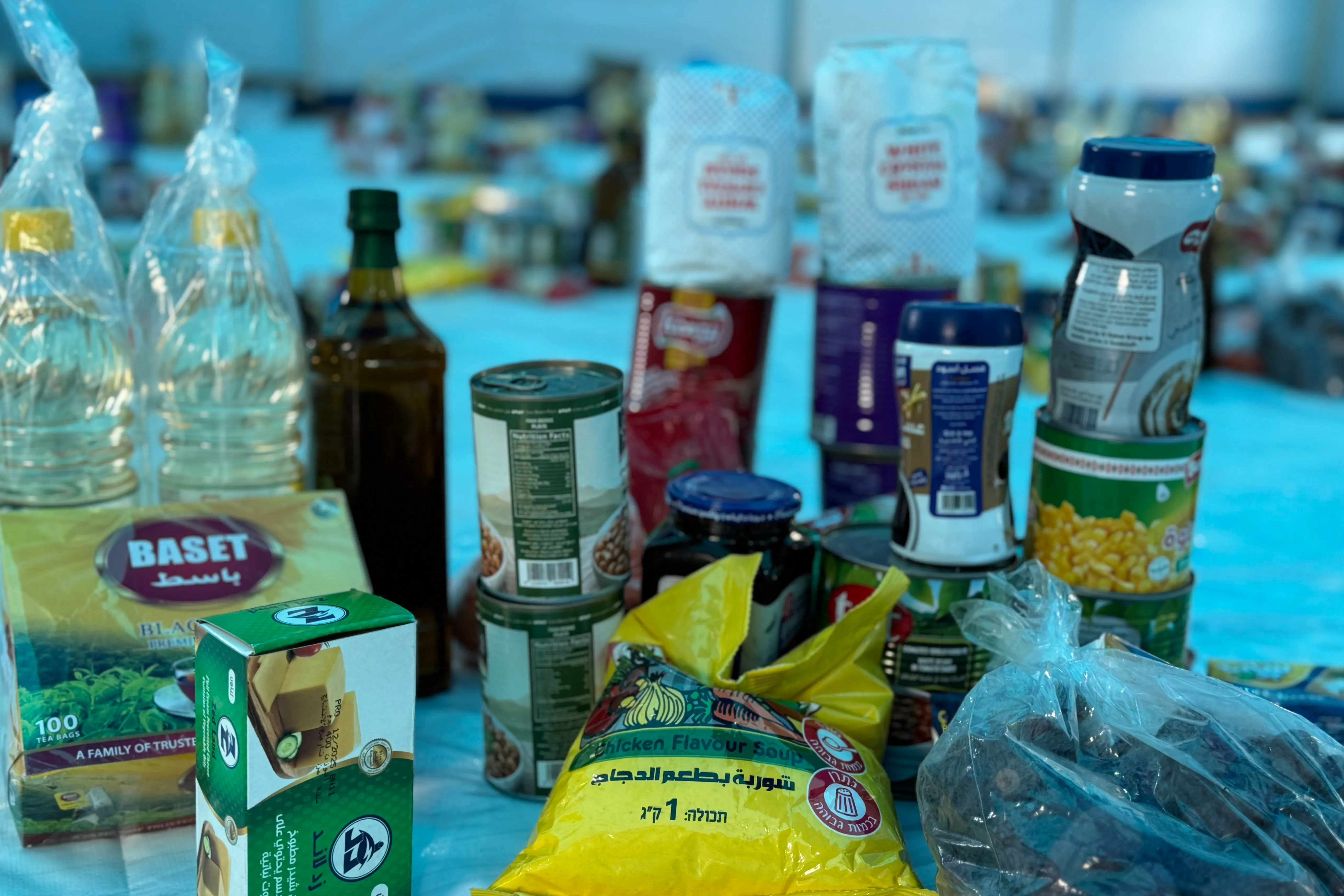 Urgent response to the earthquake In Syria