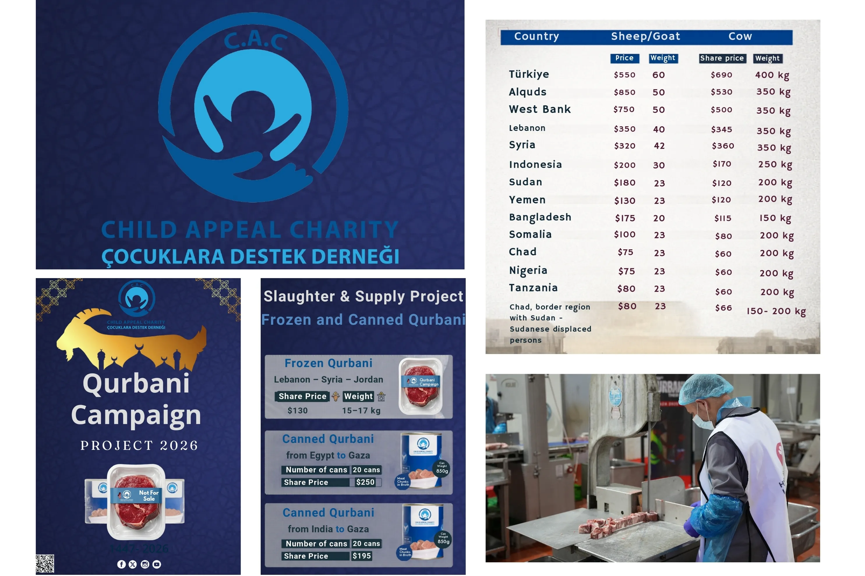 Urgent response to the earthquake In Syria