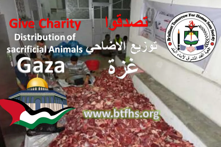 Urgent response to the earthquake In Syria