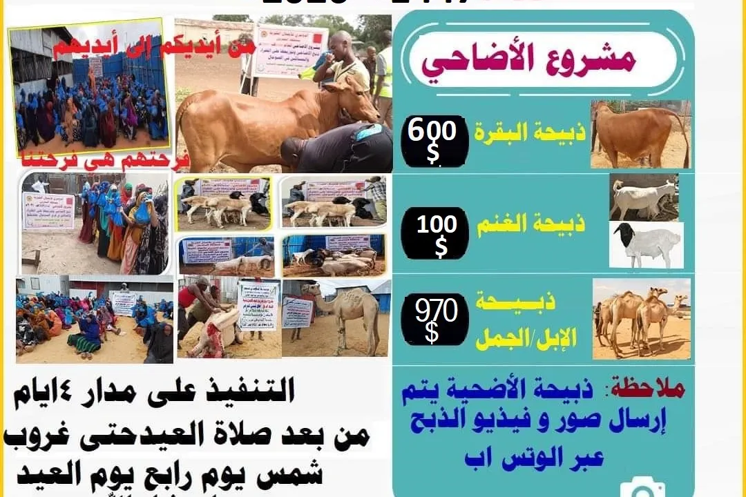 Urgent response to the earthquake In Syria