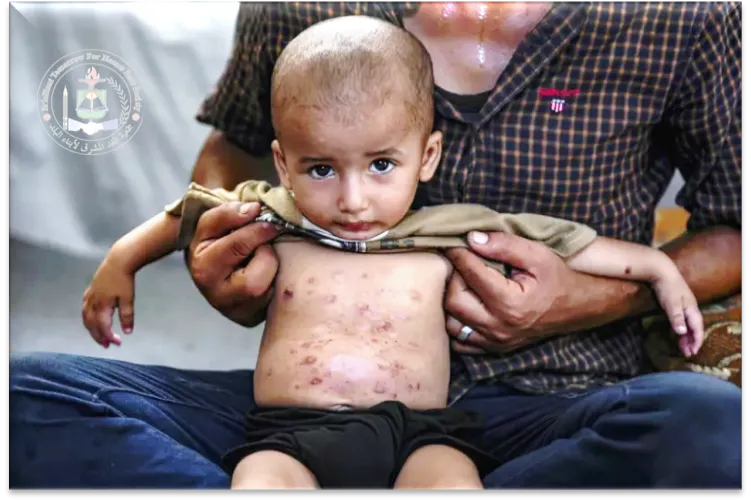 Urgent response to the earthquake In Syria