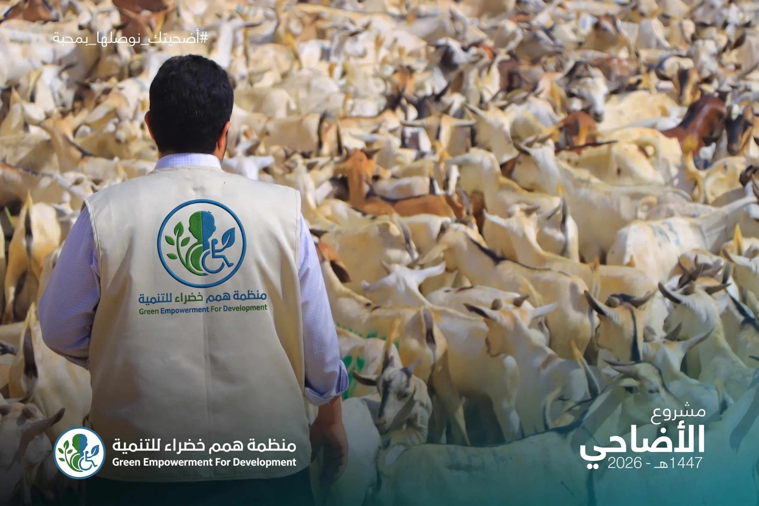 Urgent response to the earthquake In Syria