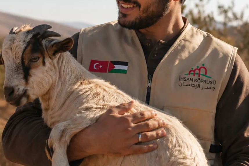 Urgent response to the earthquake In Syria