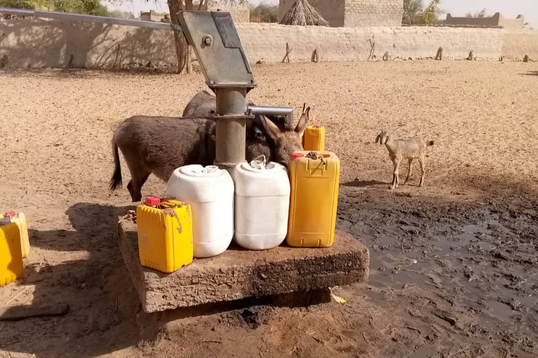 Urgent response to the earthquake In Syria