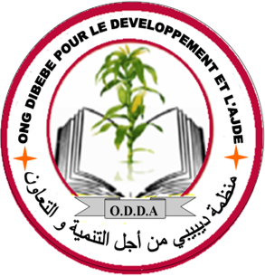 DIBEBE NGO FOR DEVELOPEMENT AND AID