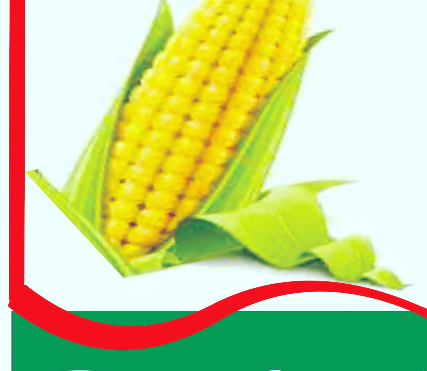 https://ensany.com/Rural Agricultural Transformation and Empowerment Initiative