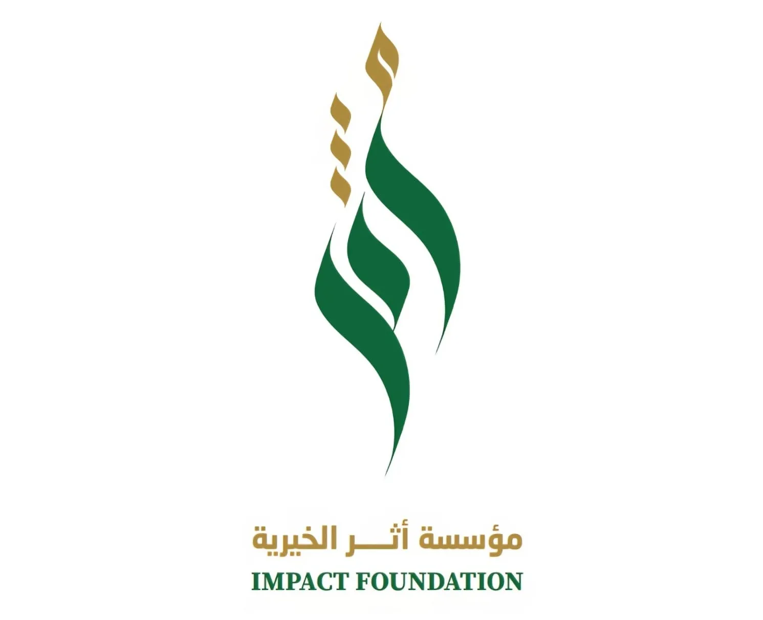 Impact Foundation