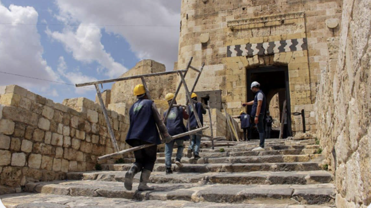 منظمة التنمية